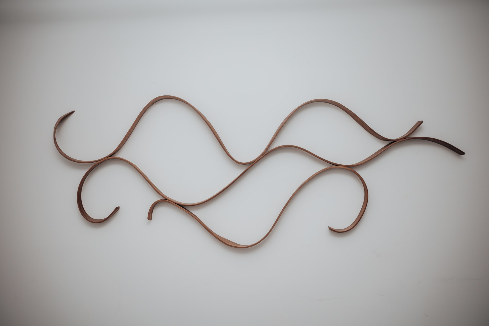 Heather Zusman, Odyssey, 2024