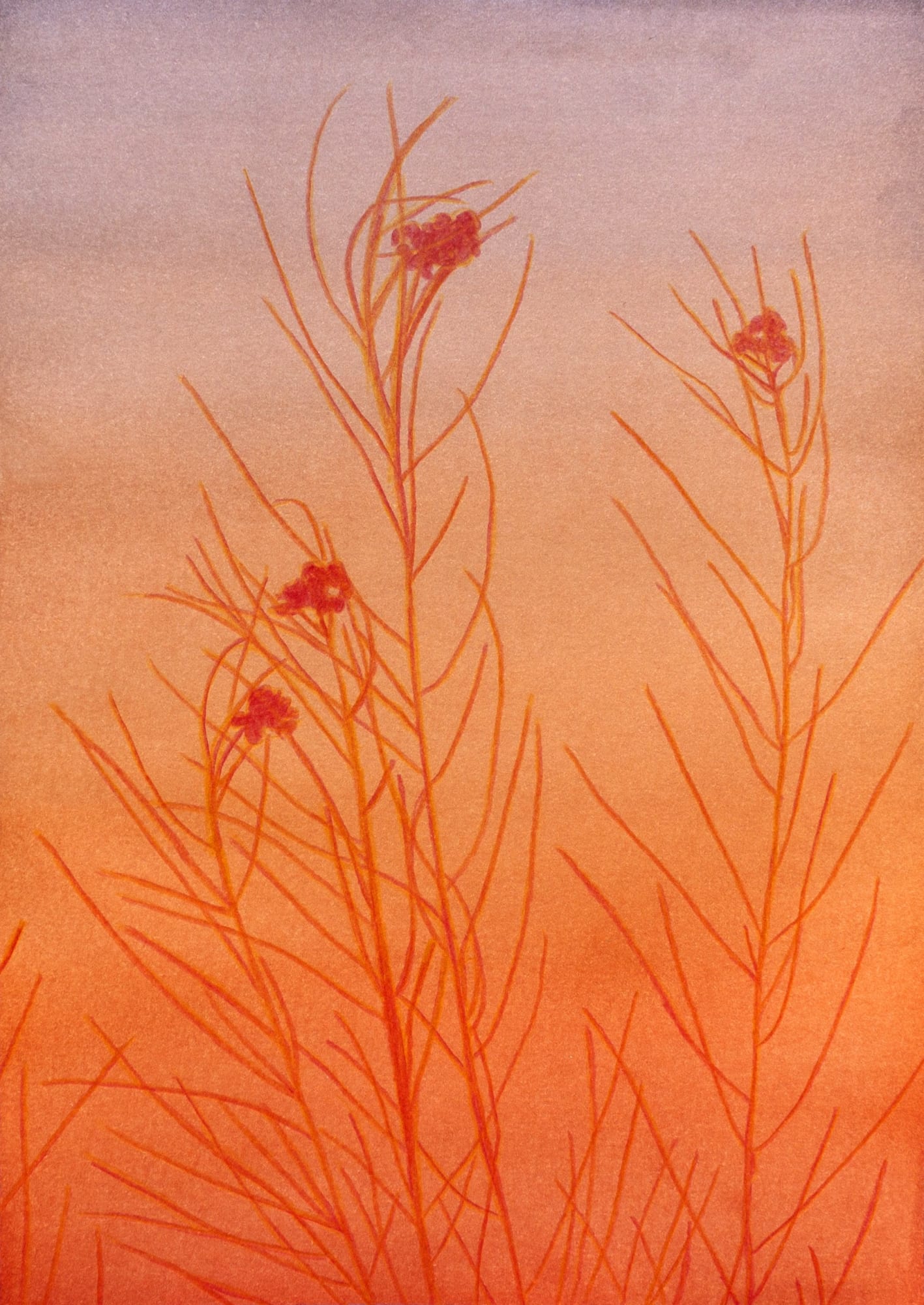 Clément Davout, Crépuscule #65, 2023