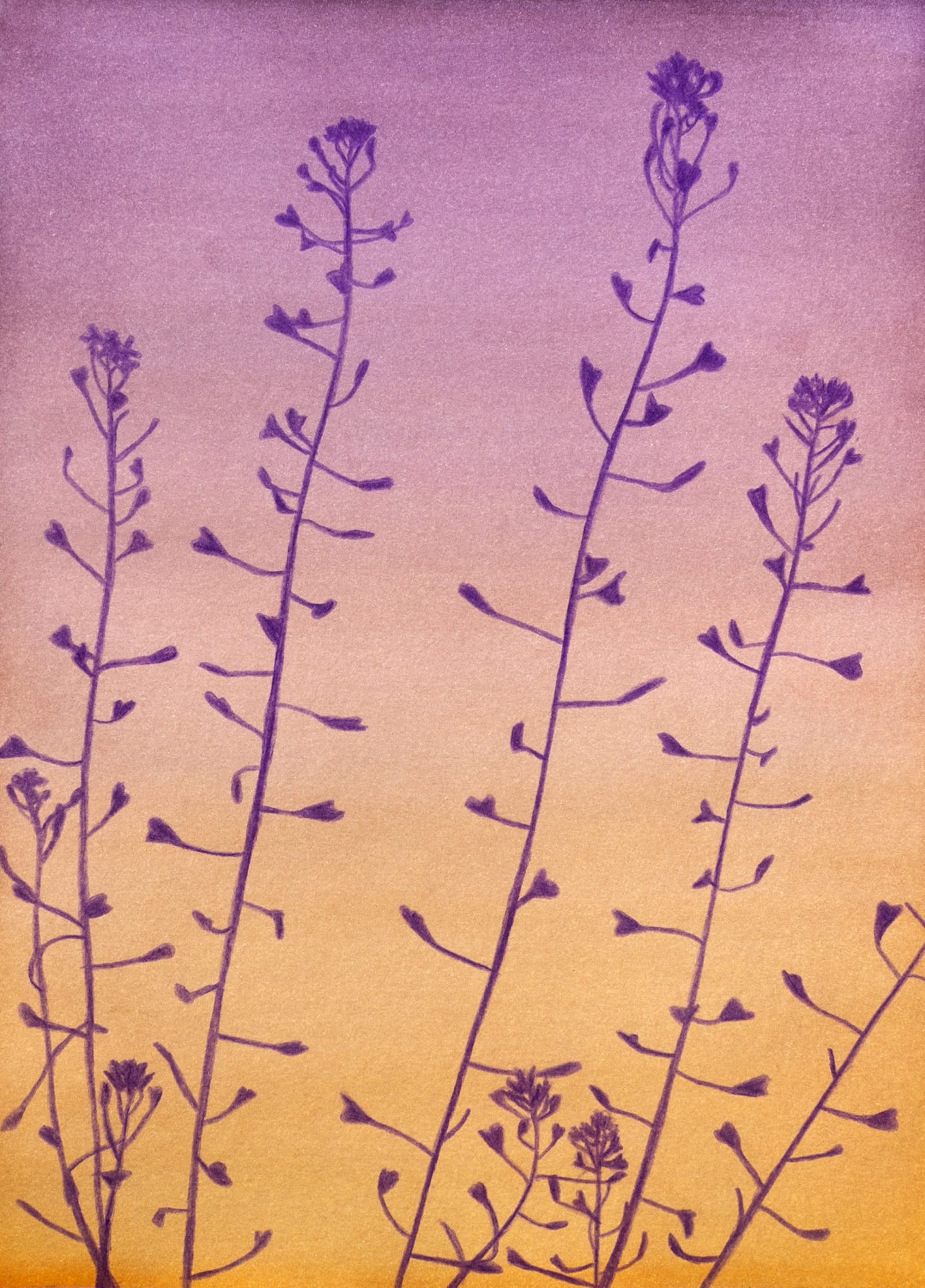 Clément Davout, Crépuscule #67, 2023