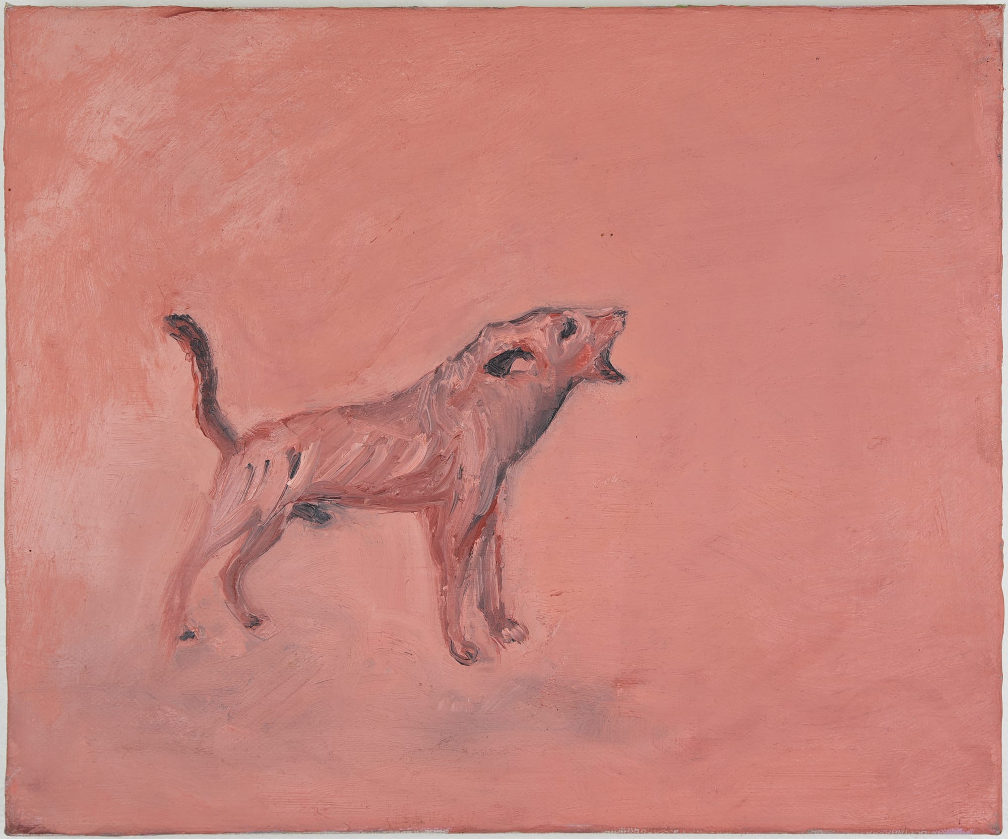 Olivia O'Dwyer, Street Dog , 2022