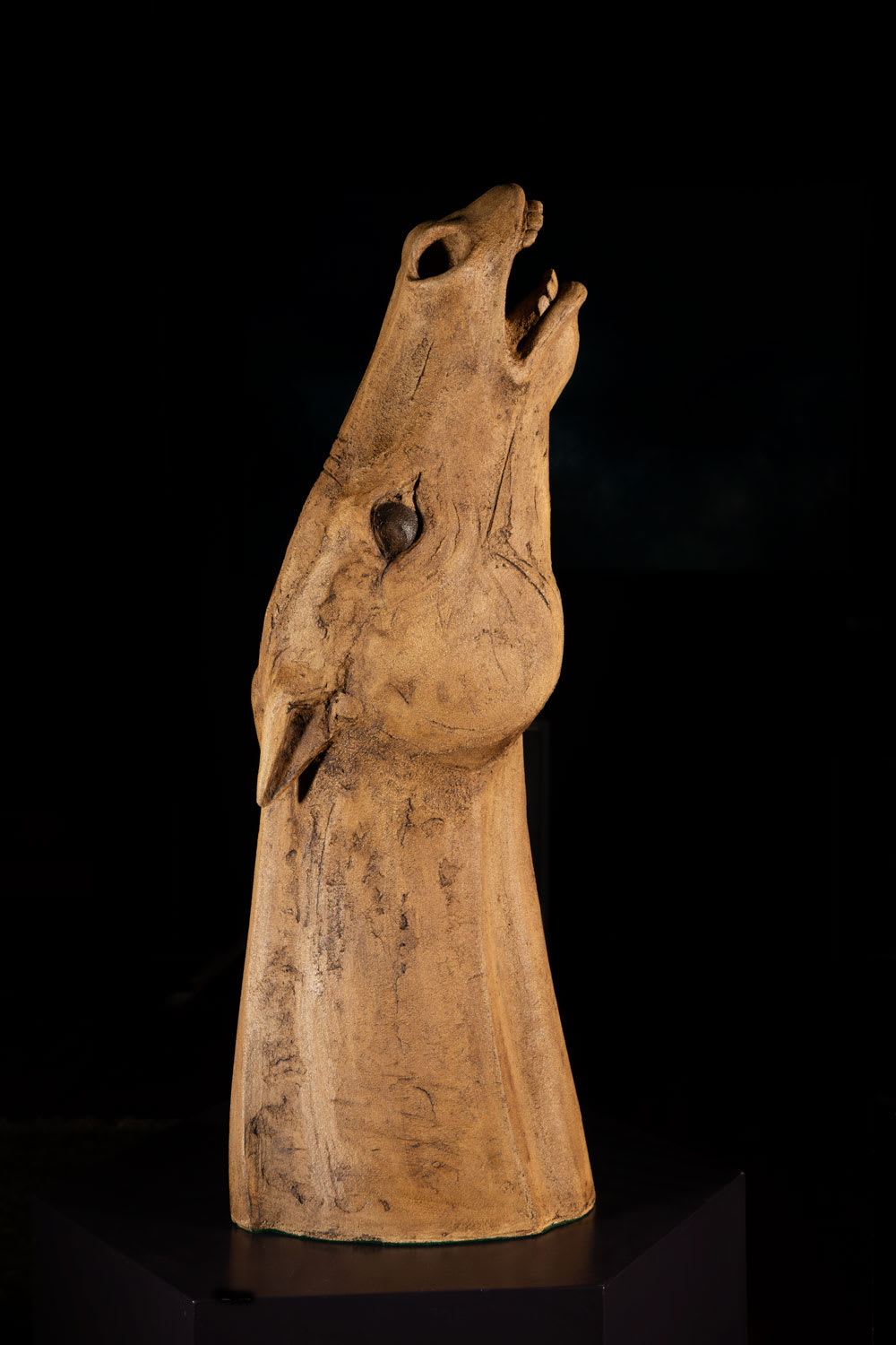 Illona Morrice, Wild Horse, 2021