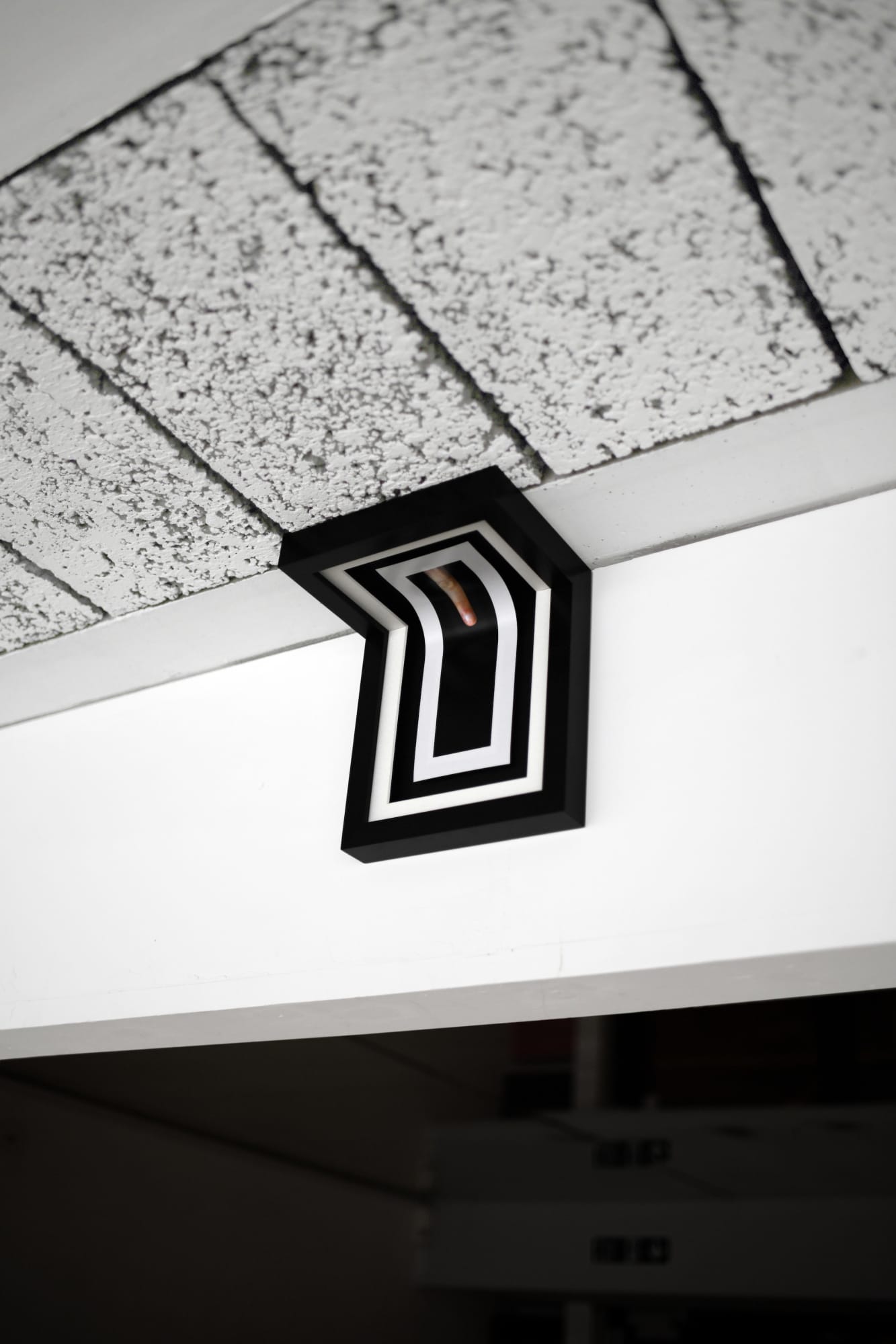 Jonny Briggs, Distraction (artist's finger on black velvet), 2022