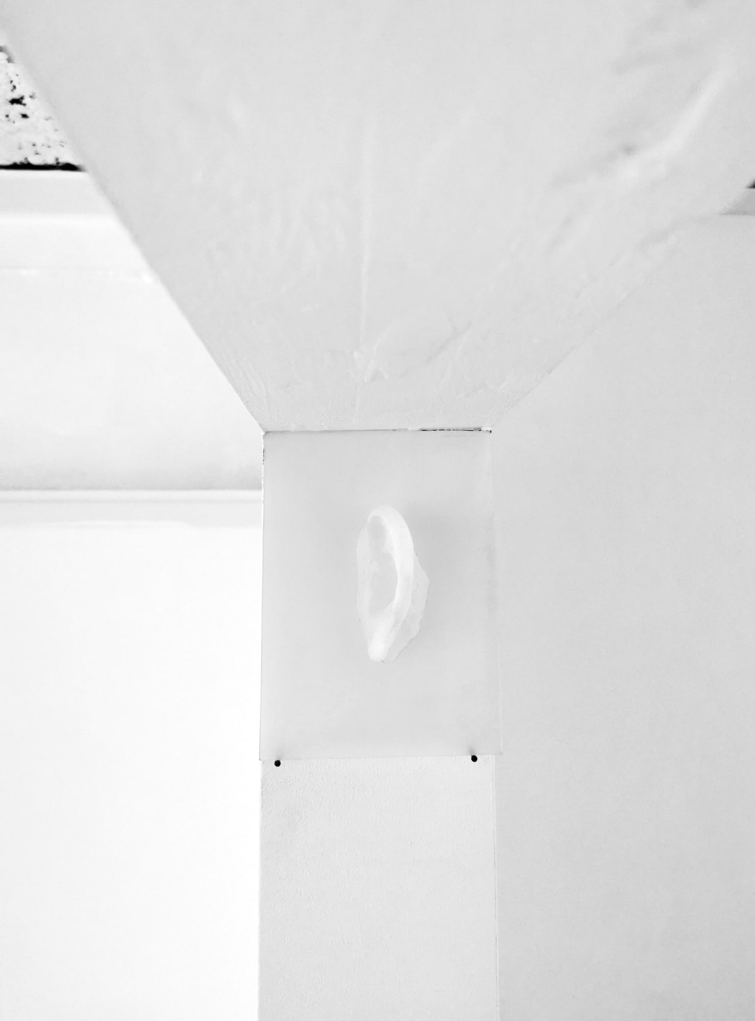 Jonny Briggs, Window (Ear in glass), 2022