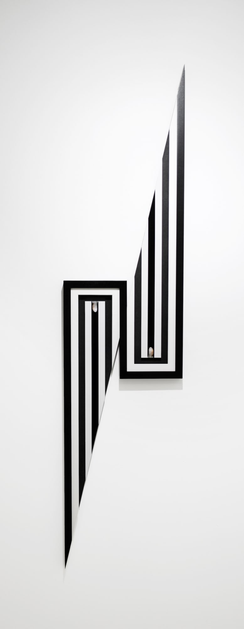 Jonny Briggs, Contradiction 1 (artists' toe on black velvet), 2022