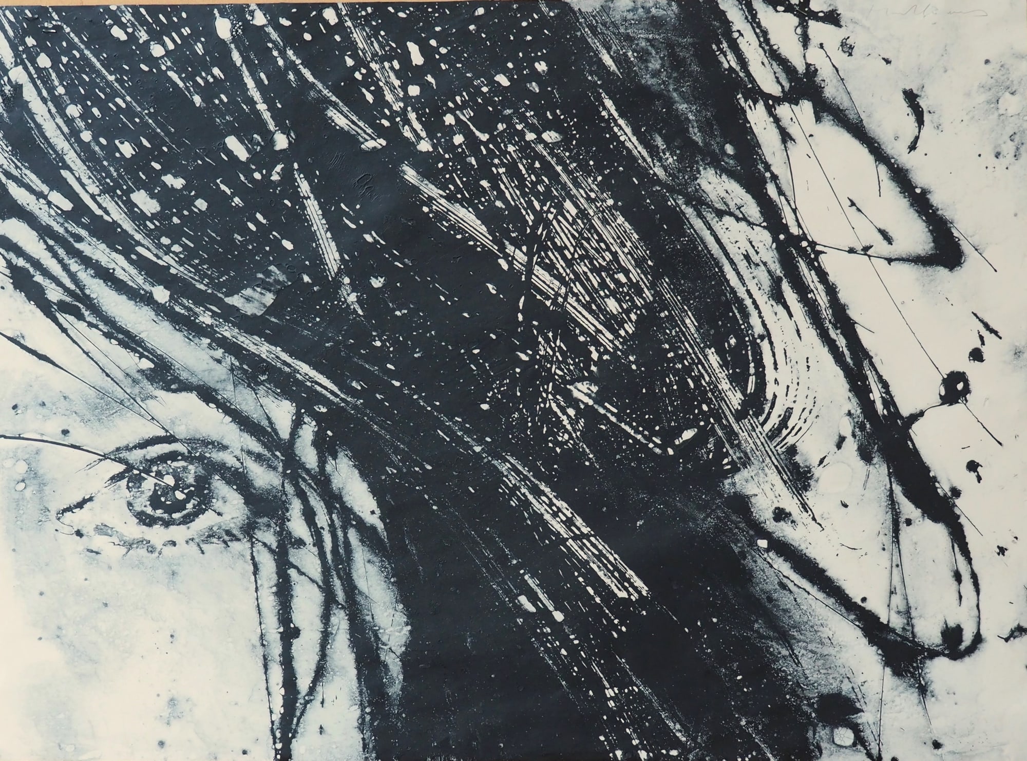 Lidia Masllorens, Portrait C 262, 2025