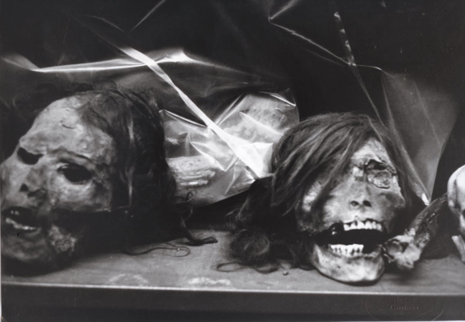 Hervé Guibert Musée de l'Homme, Paris Tirage gélatino-argentique d'époque 16,8 x 24 cm Dim. papier: 16,8 x 24 cm