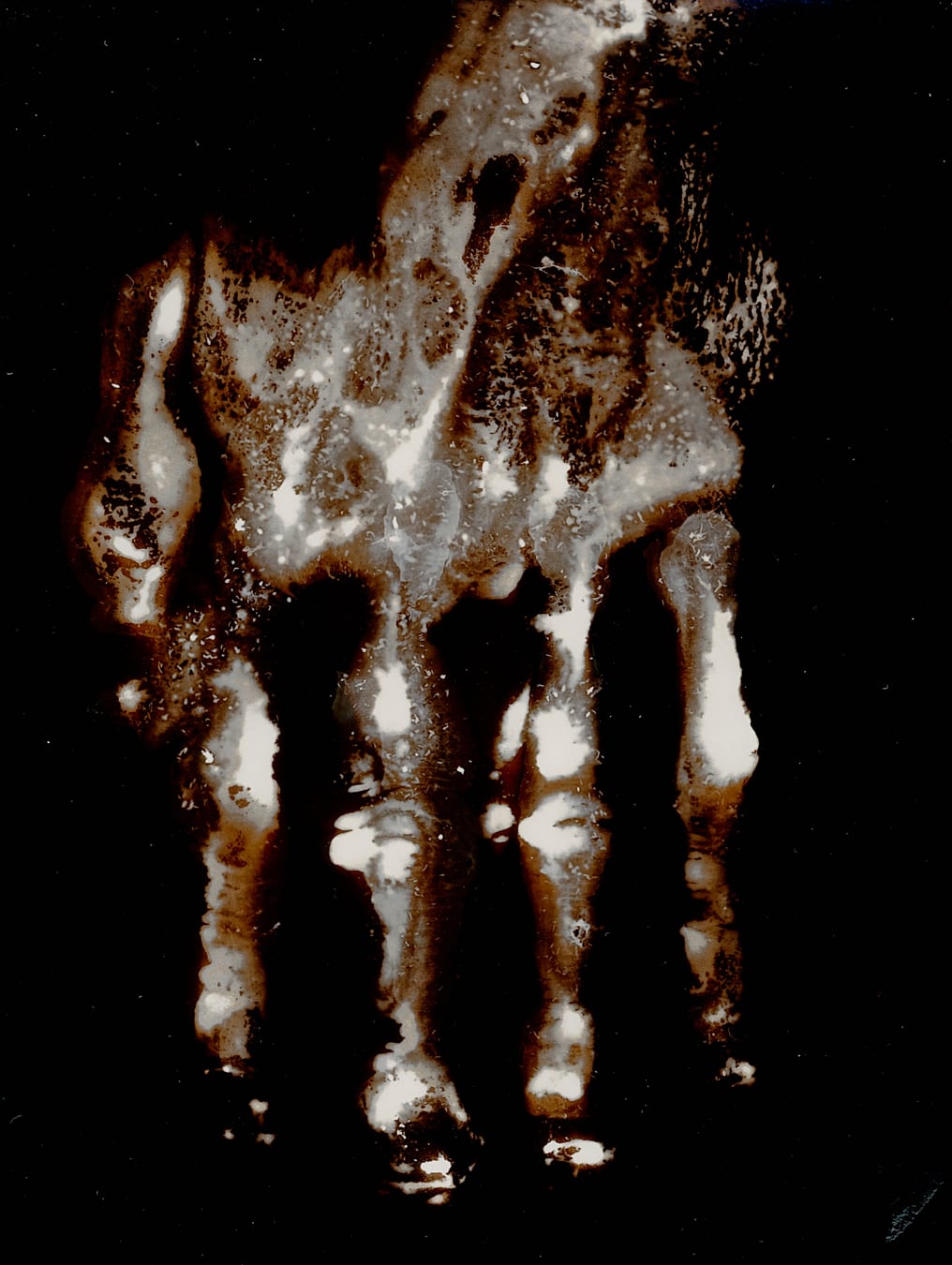 Thierry Balanger, Étude de main 46, 2000