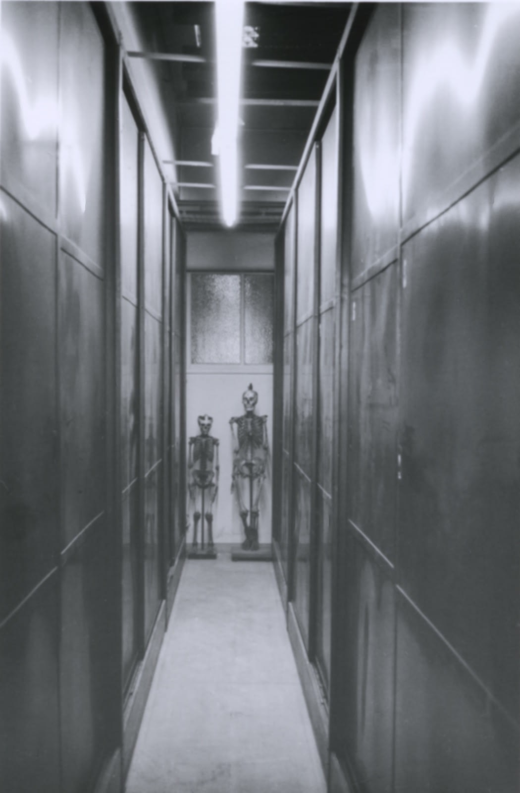 Hervé Guibert Musée de l'Homme, Paris Tirage gélatino-argentique d'époque 11,5 x 17,5 cm Dim. papier: 13,8 x 19,7 cm