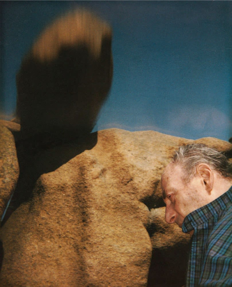 Rodolf Hervé L.H. devant paysage anamorphique Tirage jet d'encre pigmentaire sur papier d'Hahnemühle d'après Polaroïd Dim. papier: 40 x 50 cm