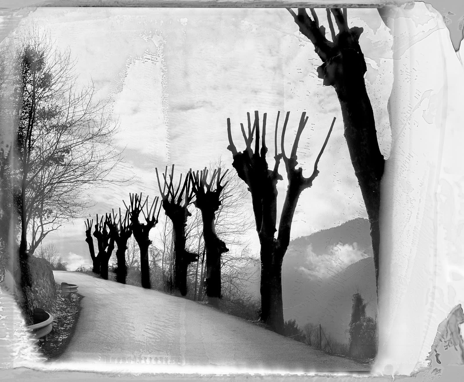 Jean-Christophe Béchet Belvédére, Alpes, France Tirage argentique classique, tiré sous agrandisseur sur papier baryté Ilford Warmtone, d'aprés Polaroid, film 665 Dim. papier: 80 x 120 cm