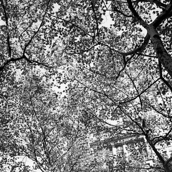 Vivian Maier New York, NY Tirage gélatino-argentique, posthume 30 x 30 cm Dim. papier: 40 x 50 cm