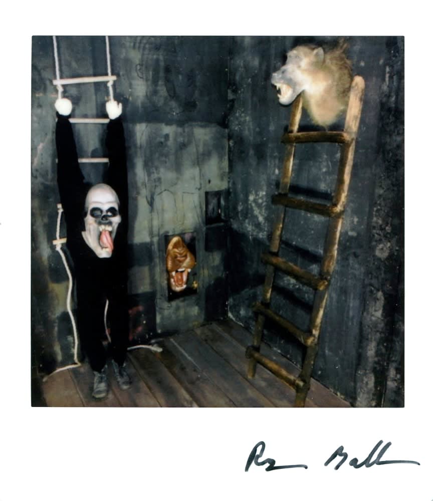 Roger Ballen, Polaroid #23, 2022