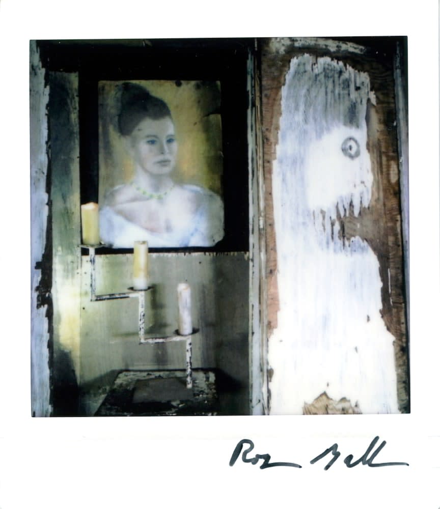 Roger Ballen, Polaroid #22, 2022
