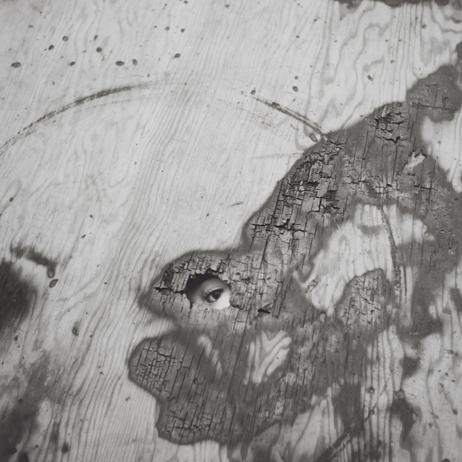 Vivian Maier, Chicago, 1961