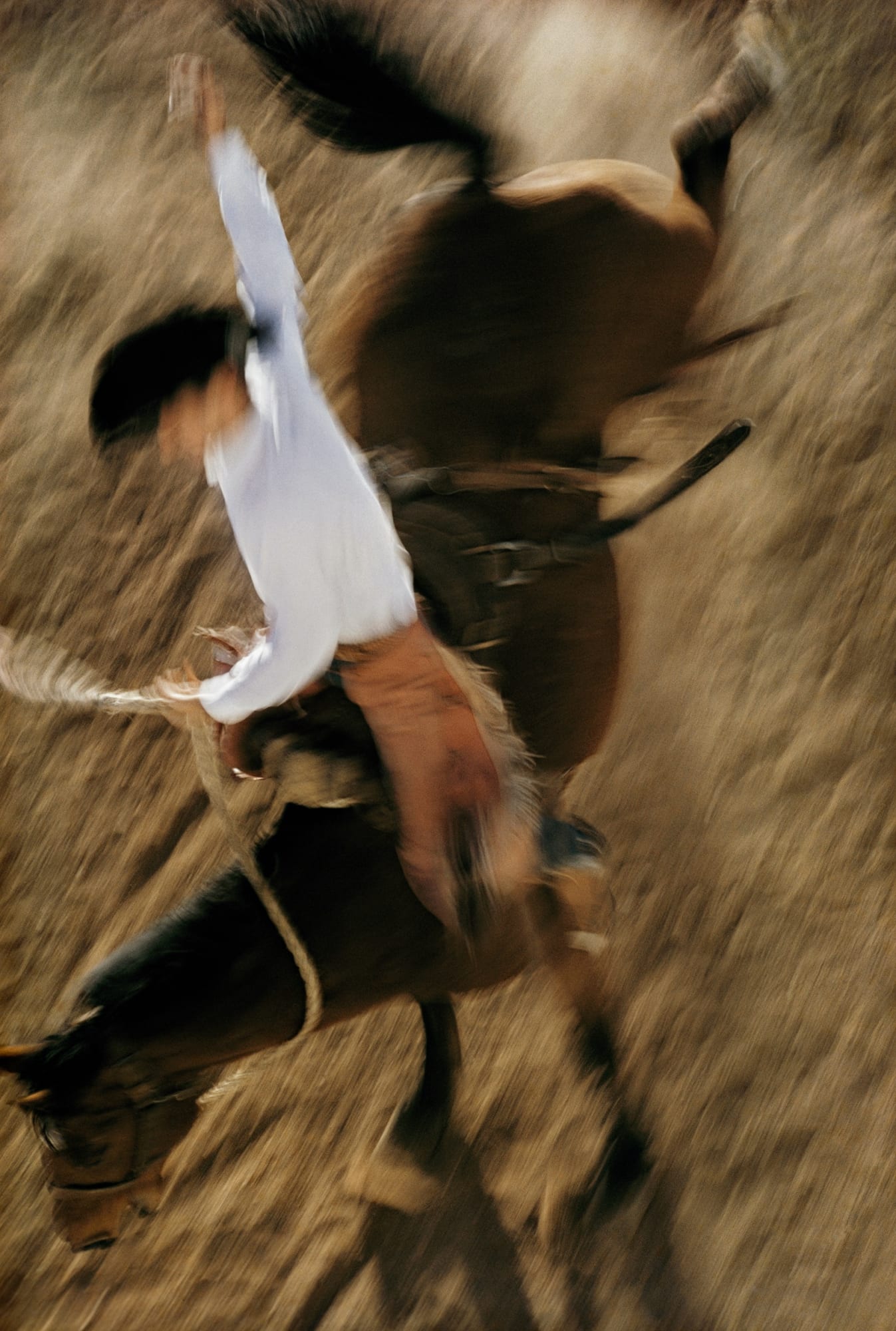 Ernst Haas, Bronco Rider, California, 1957