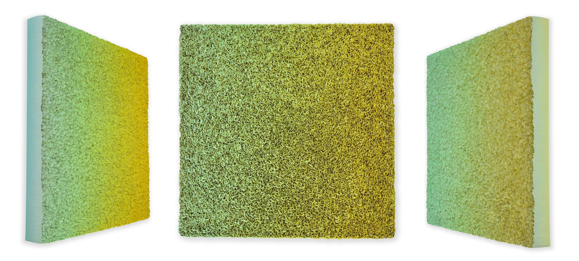 Zhuang Hong Yi, Golden Fade, 2024