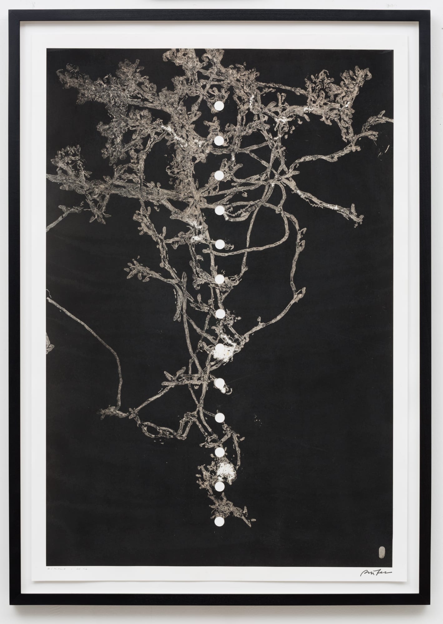 Maximilian Prüfer, Diktat, 2016