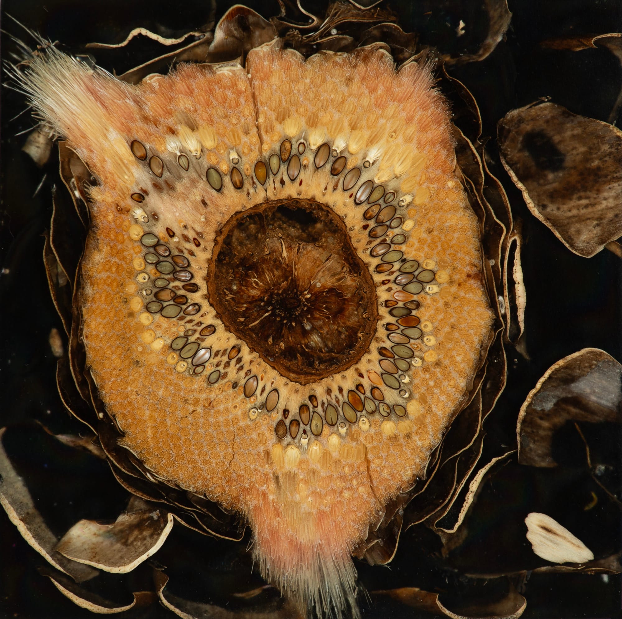 Mayme Kratz, Night Study 34, 2024