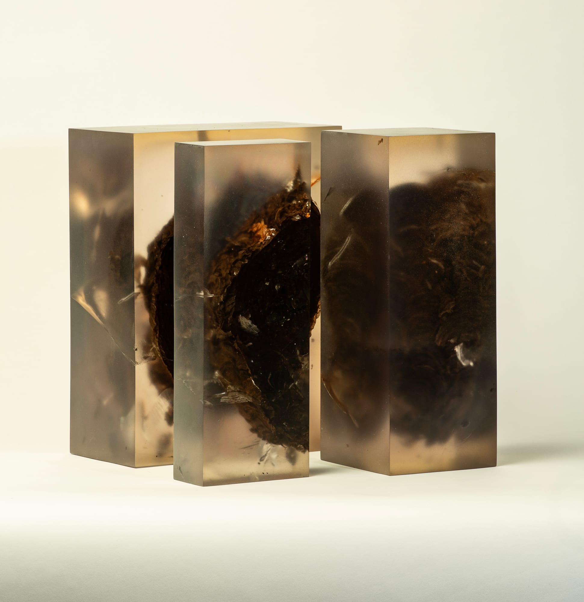 Mayme Kratz, Within Without, 2024