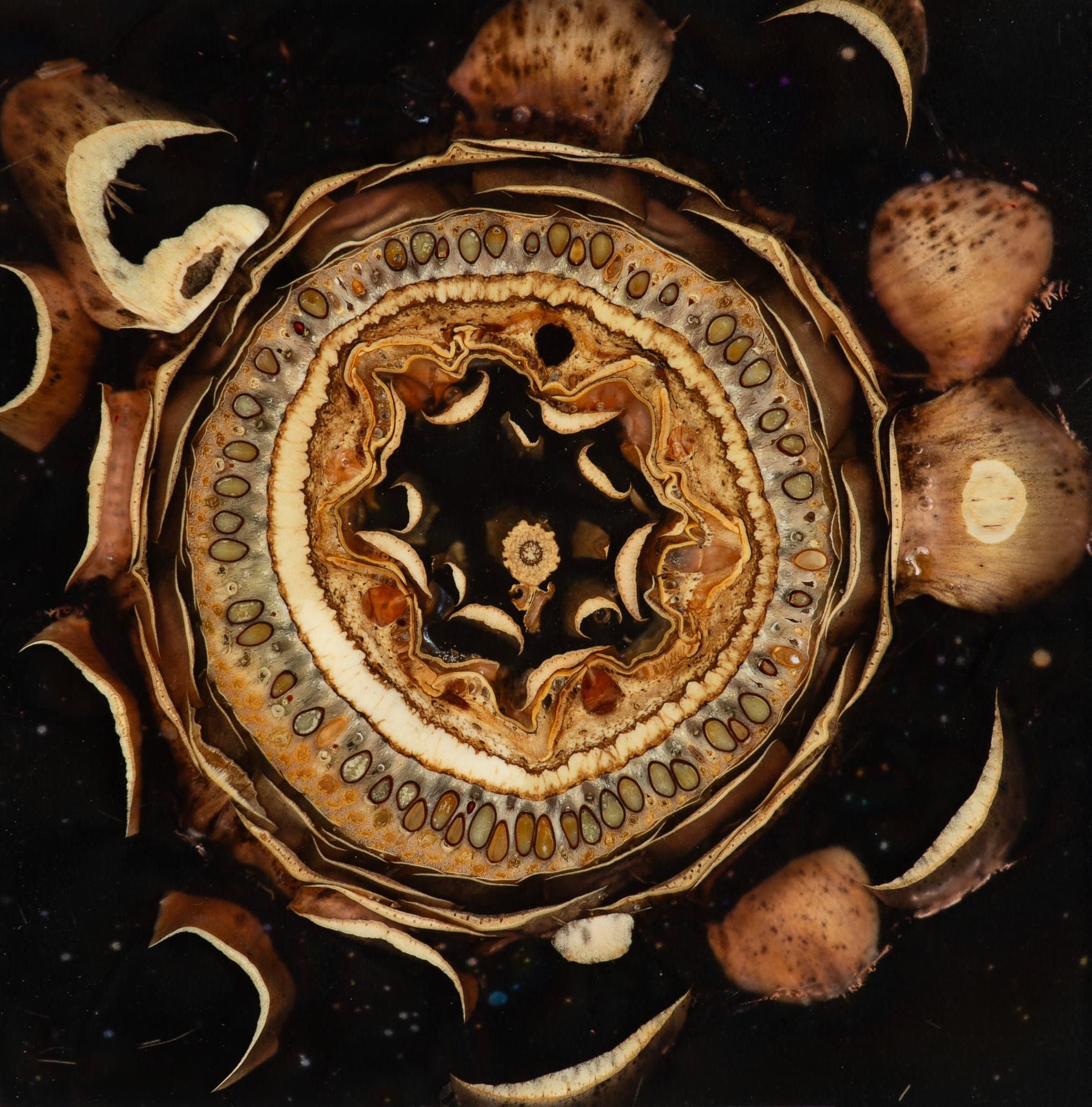 Mayme Kratz, Night Study 33, 2024