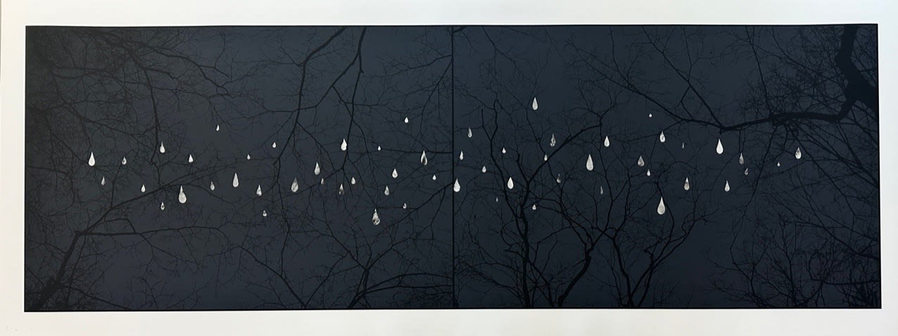 Marie Navarre, from the interior, 2025