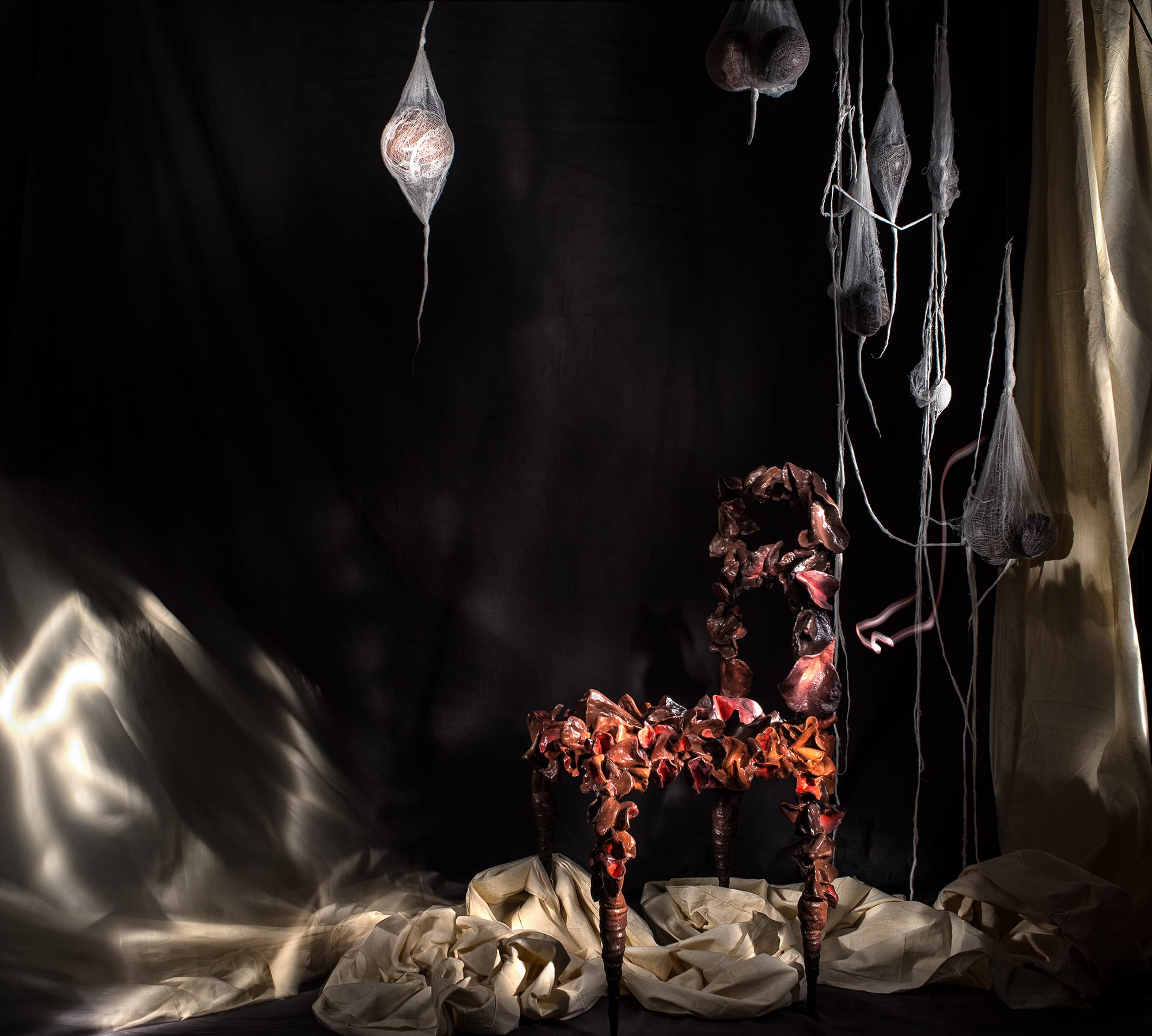 Stacey Gillian Abe, Seat of honor #1, 2017