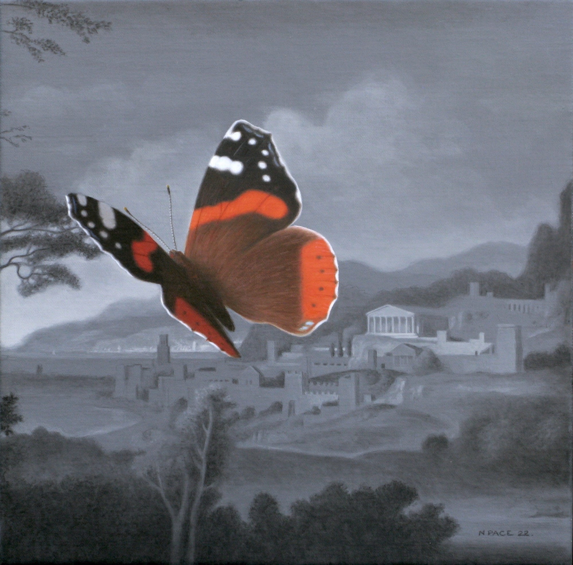 Nicholas Pace, Capriccio no.5, Red Admiral , 2022