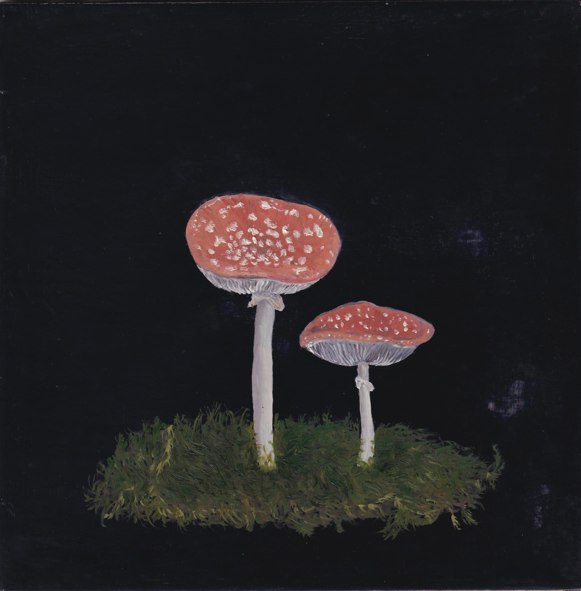 Melanie Miller, Fungi II, 2020