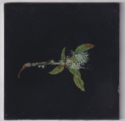 Melanie Miller, Sloe Berry