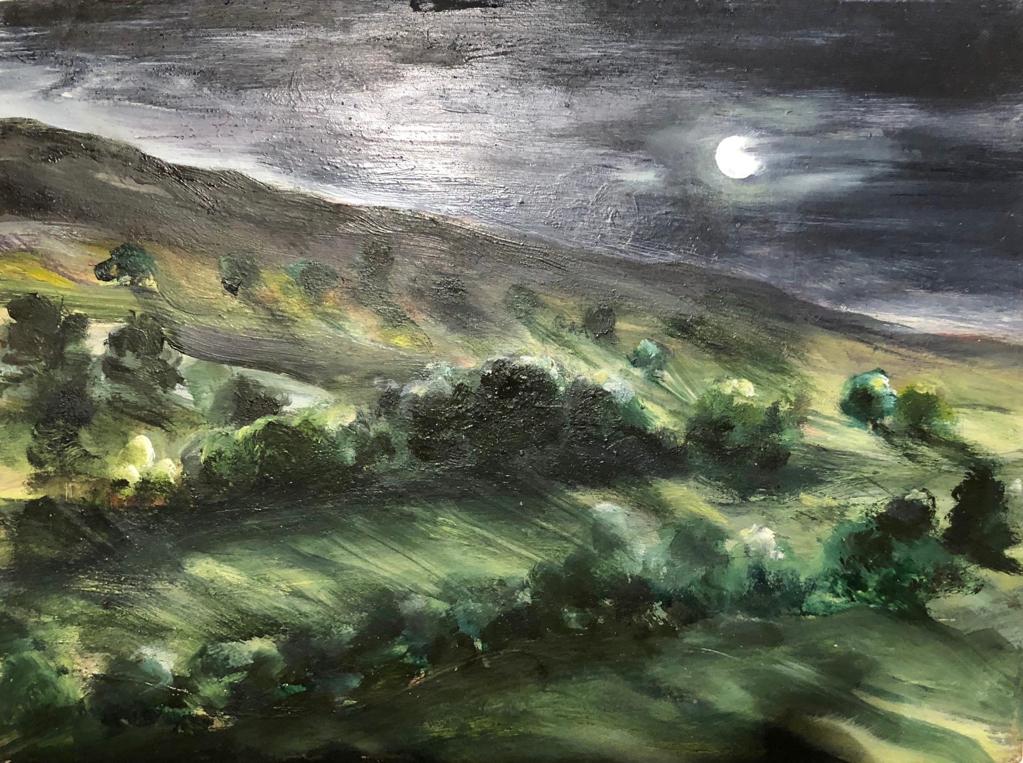 Jane MacEwan, Moonlight on Partrishow Hill , 2020