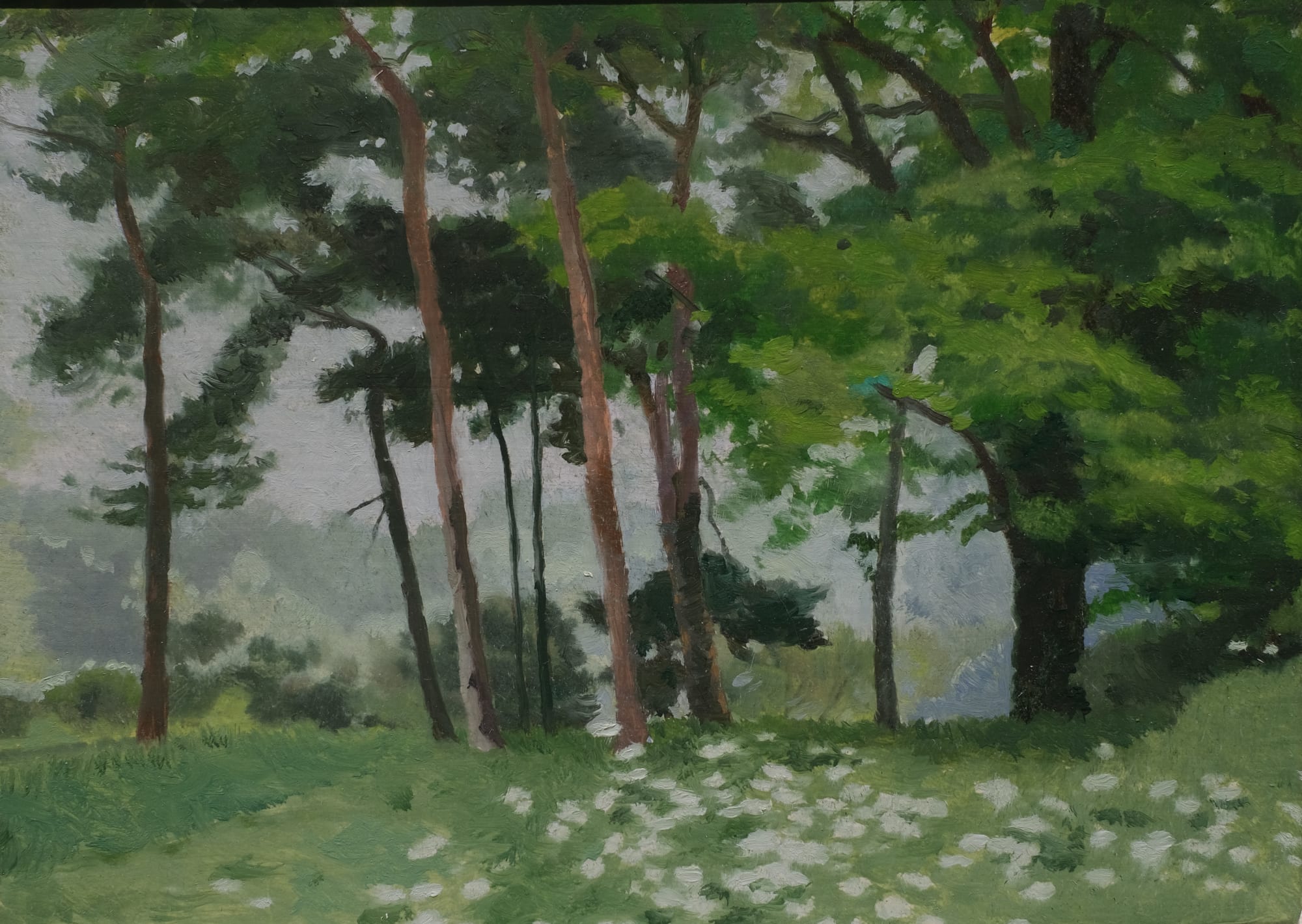 Mark Entwisle, Scotch Pines, Hampstead Heath II, 2022