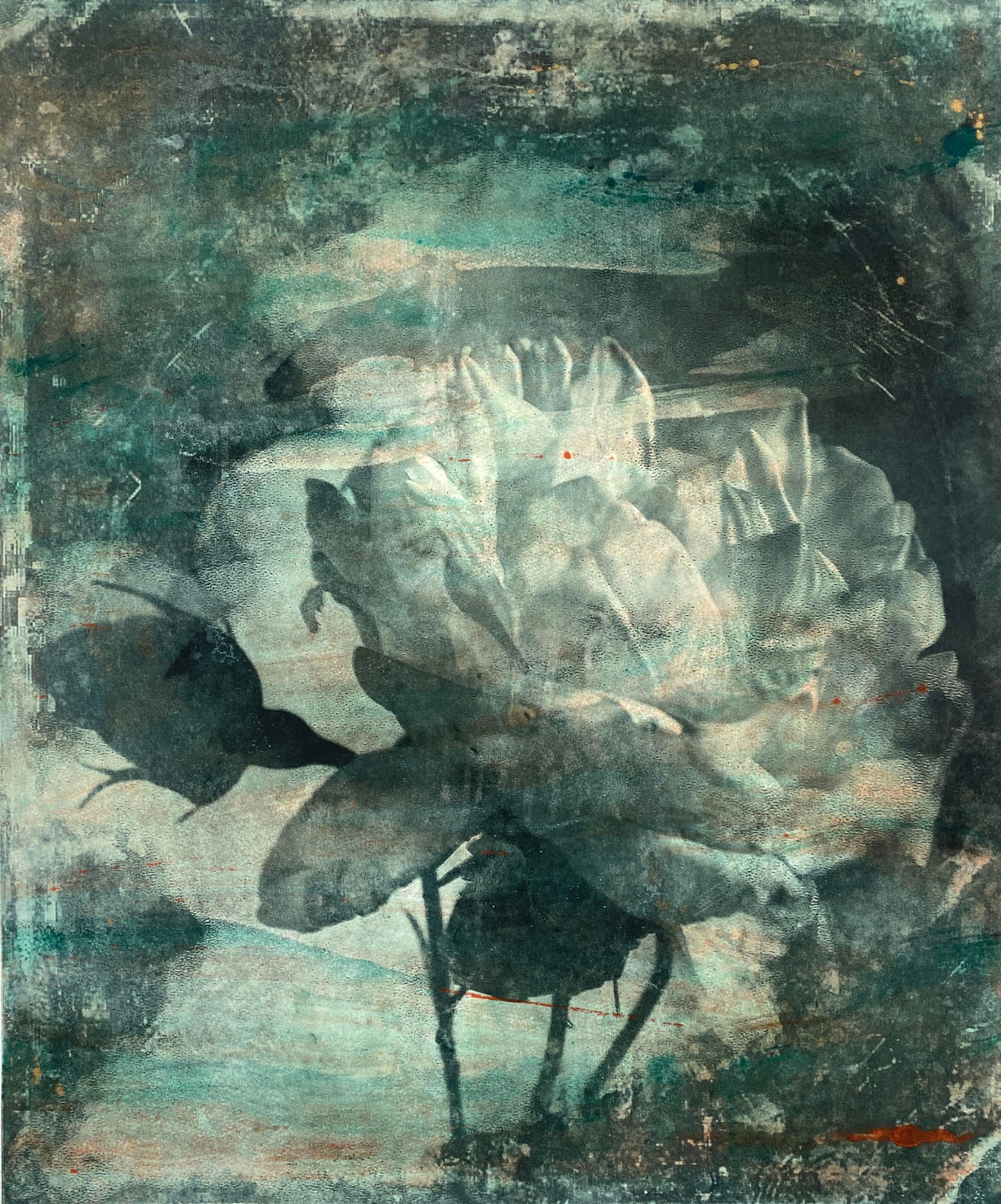 Nick Archer, Green Rose with Pink 2, 2025