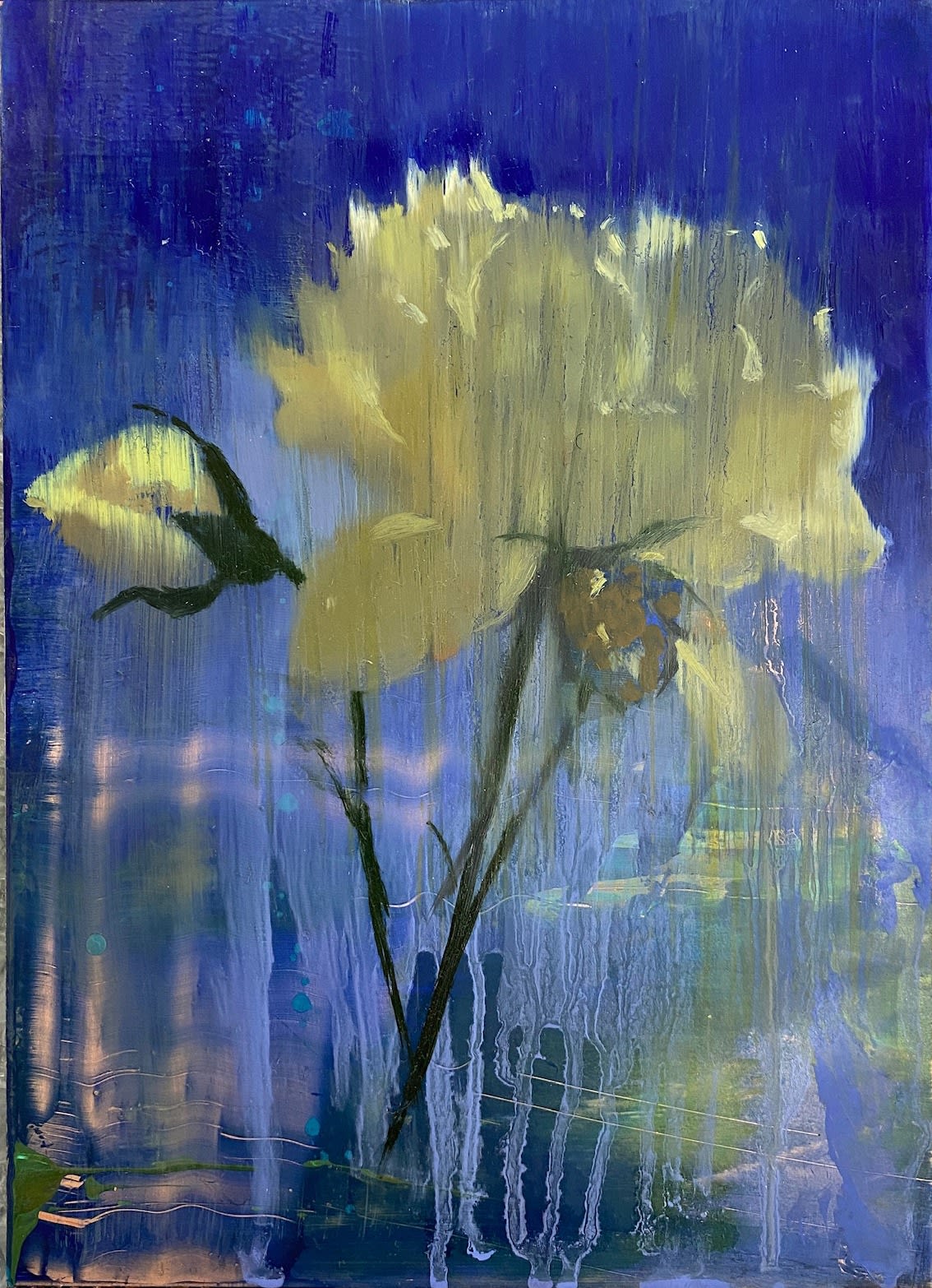 Nick Archer, Rose on Blue Postcard II, 2023