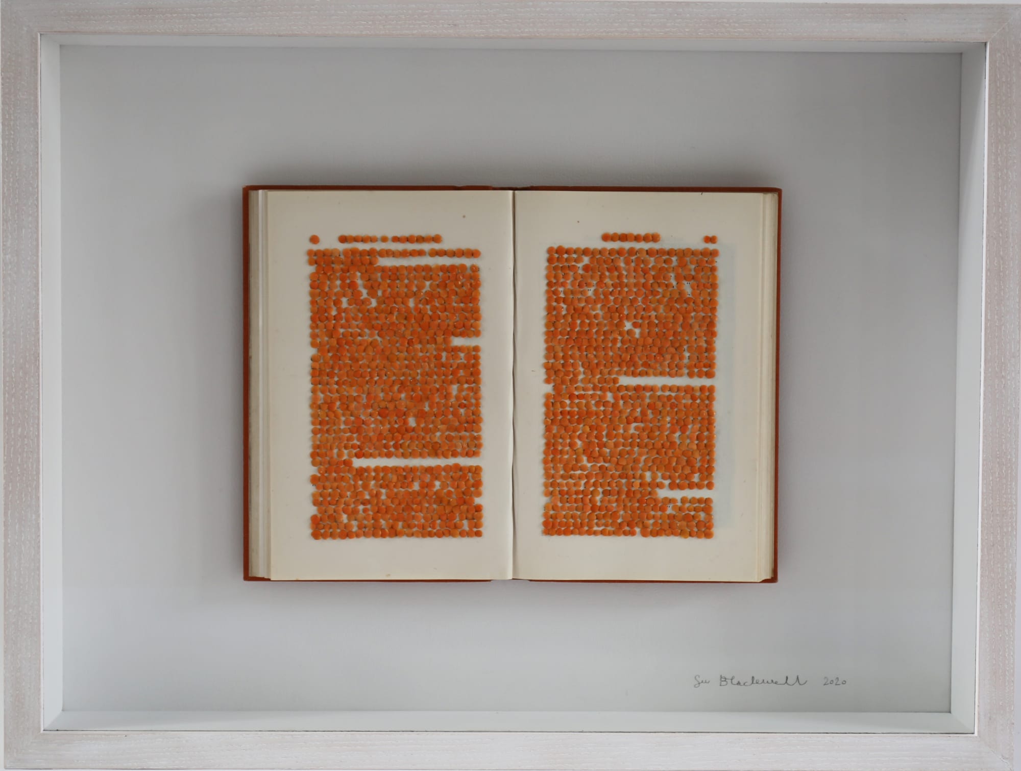 Su Blackwell, Lentils Over Words, Aschenputtel, 2021