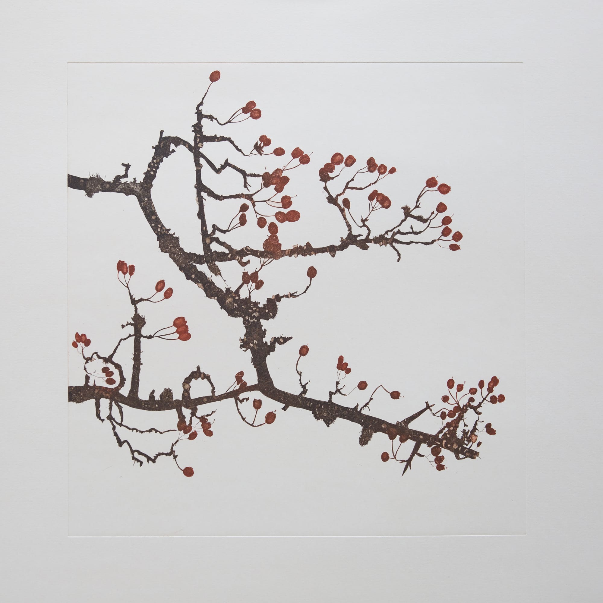 Cliona Doyle, Hawthorn, 2018