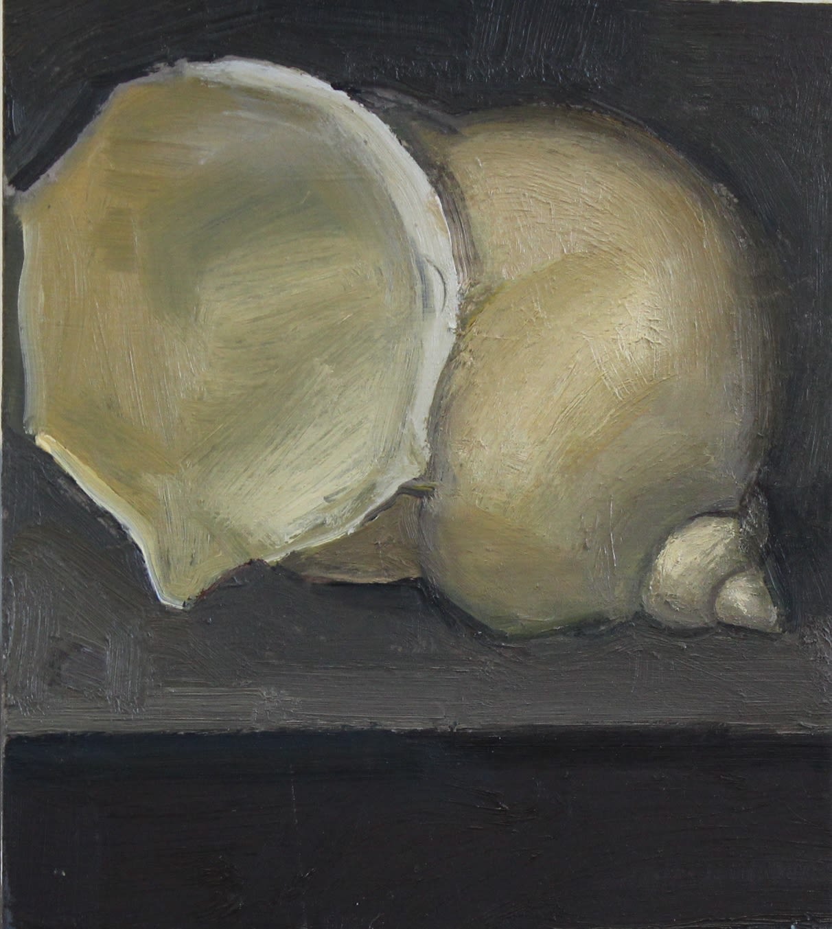 Brian Sayers, Shell After Steenwyck, 2017