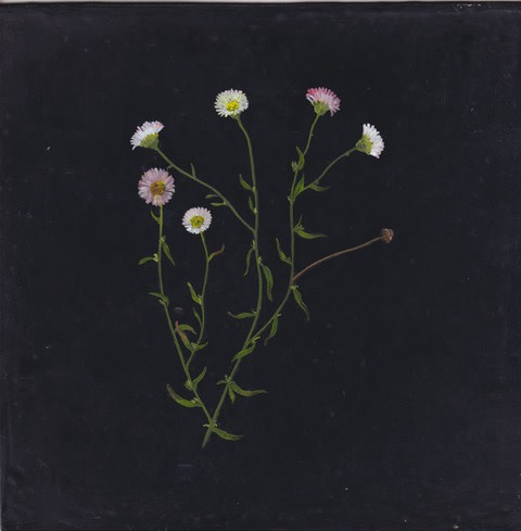 Melanie Miller, Eridgeron III