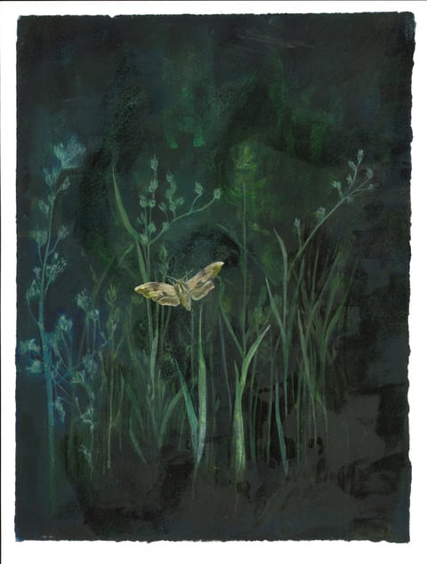 Melanie Miller, Night Garden I, 2020