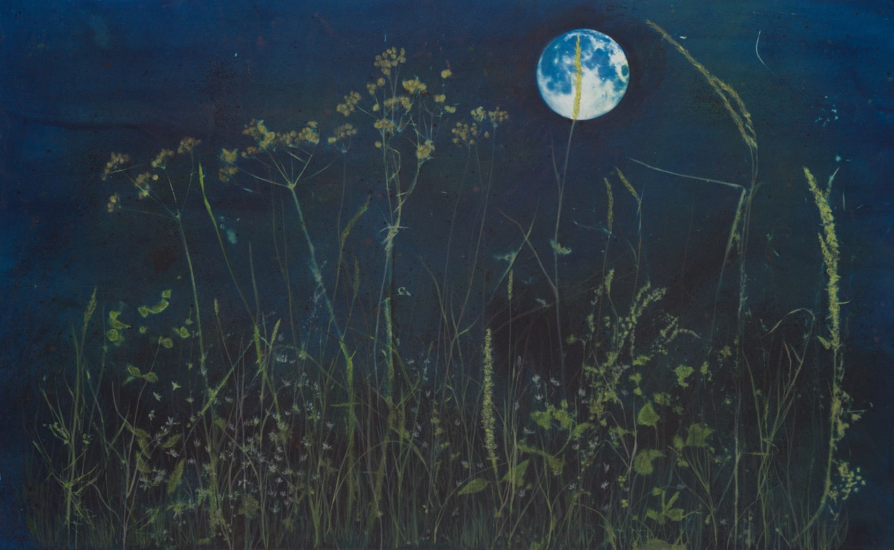 Melanie Miller, Moon Meadow, 2022