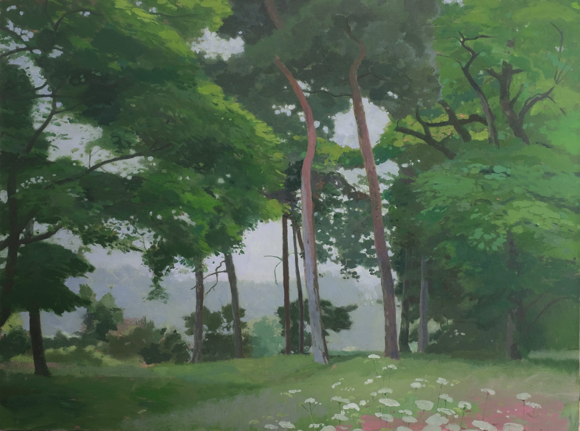 Mark Entwisle, Scotch Pines, Hampstead Heath IV, 2022