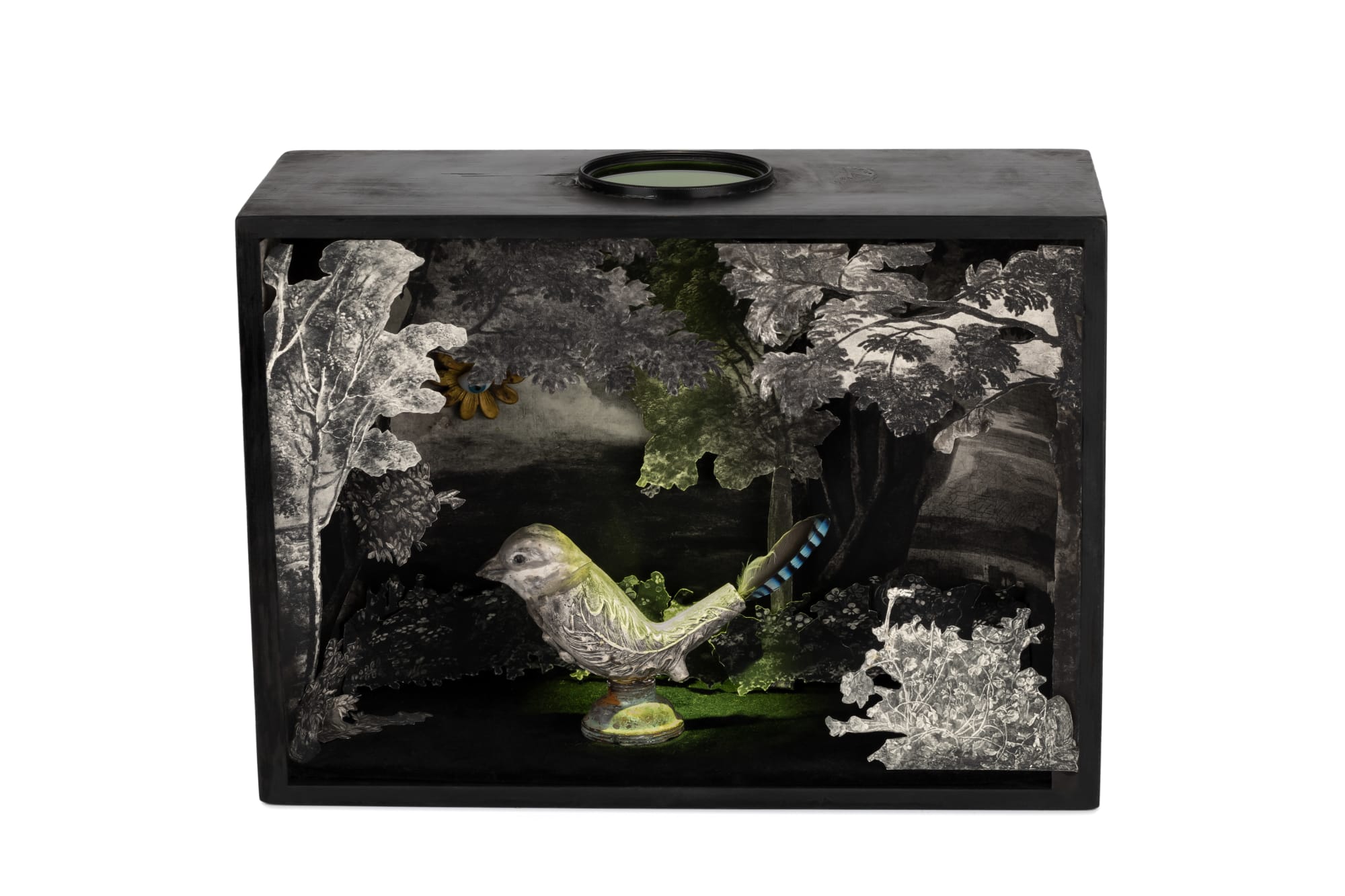 Melanie Miller, Hidden, 2023