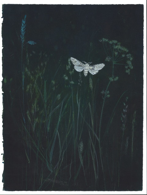 Melanie Miller, Night Garden II, 2020
