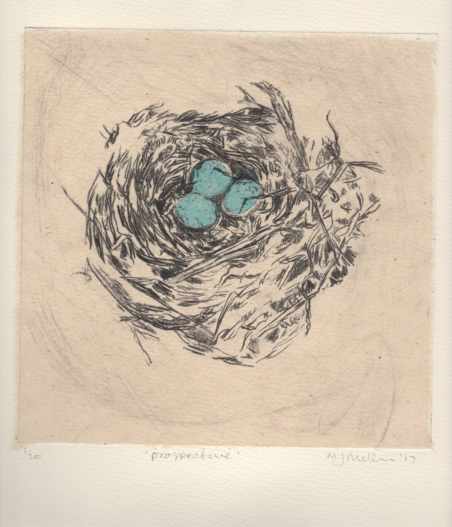 Melanie Miller, Prospective, 2017