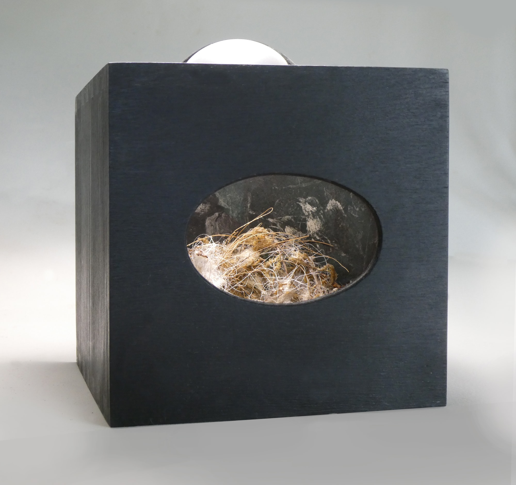 Melanie Miller, Cynefin, 2020