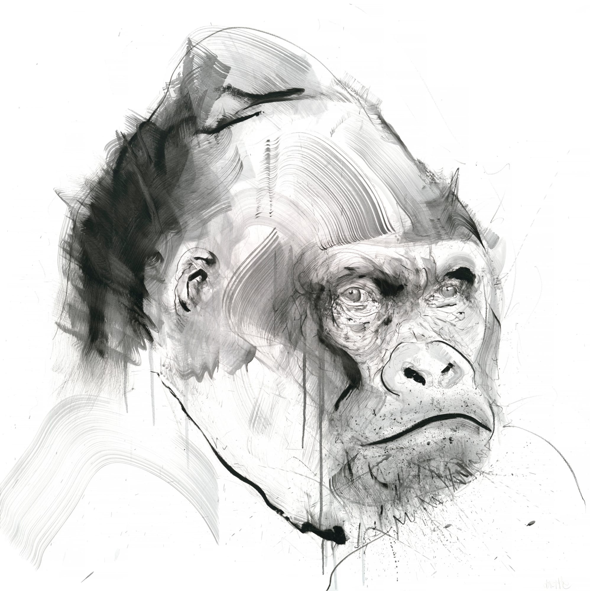 Dave White, I see your soul, 2022