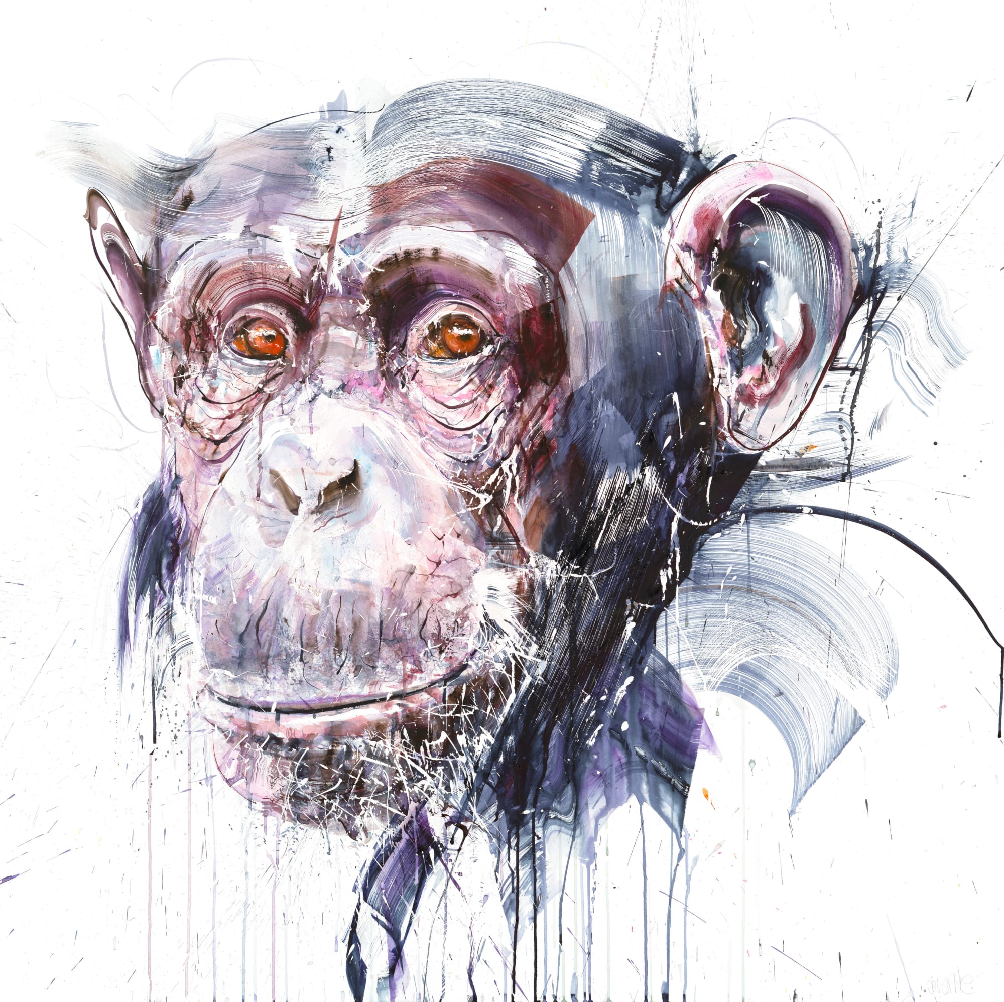 Dave White, Wise, 2022