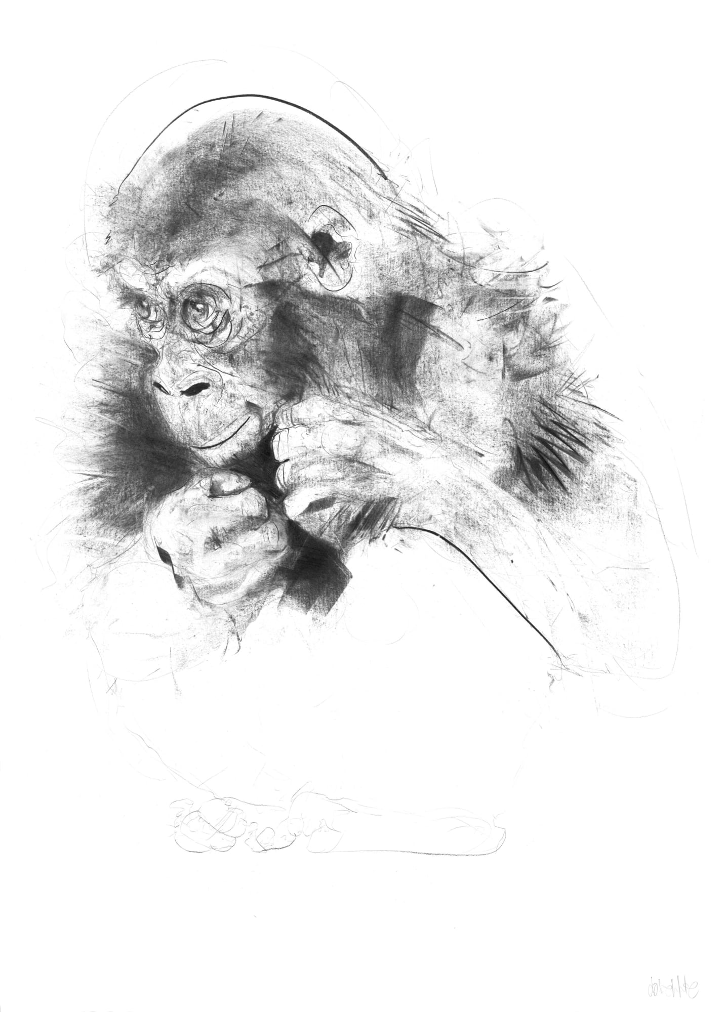 Dave White, Young, 2021