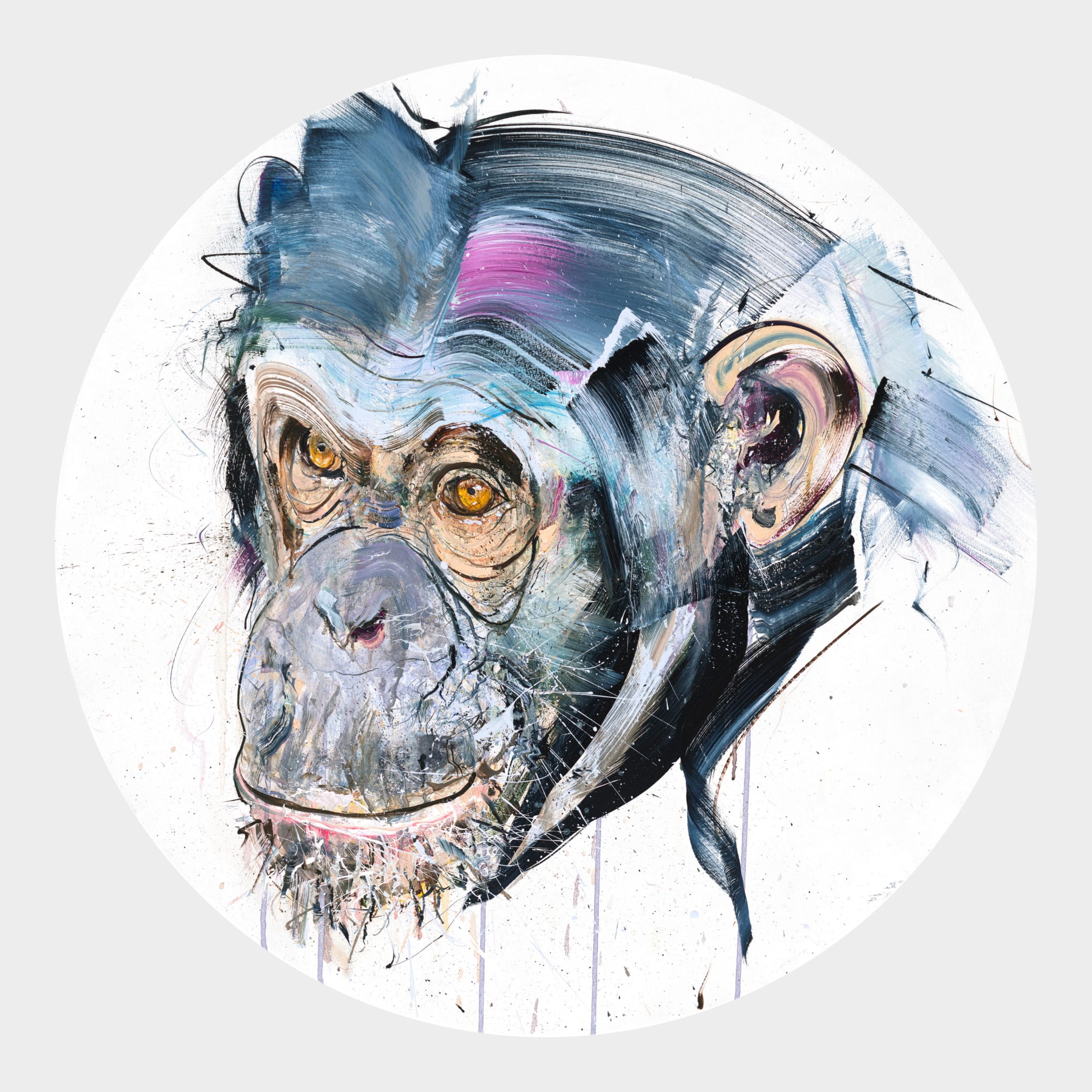 Dave White, Wisdom, 2022