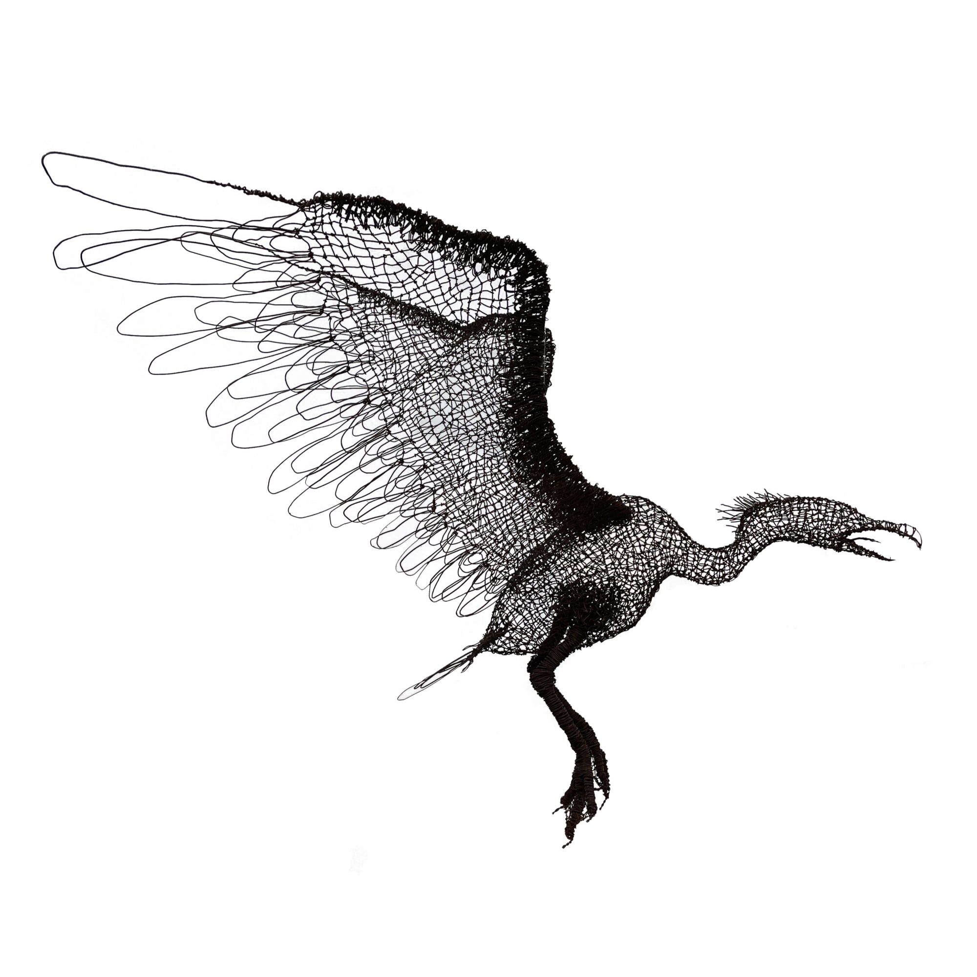 Oumar Ball, Cormoran, 2024