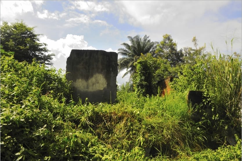 Macline Hien, Ruines #6, 2014